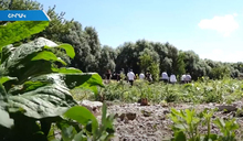 Քննարկվում է Գյումրիի սելեկցիոն կայանի տարածքում գյուղական տուրիզմի զարգացման հնարավորությունը