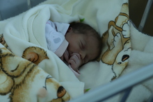 Հուլիսի 11-17-ը Շիրակի մարզի ծննդօգնություն իրականացնող բուժհաստատություններում ծնվել է 51 երեխա 