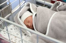 Շիրակի մարզում հոկտեմբերի 10-ից 16-ը  ծնվել է 74 երեխա