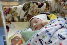  Հունիսի 19-ից 25-ը Շիրակի մարզի ծննդօգնություն իրականացնող բուժհաստատություններում ծնվել է 47 երեխա
