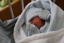 Շիրակի մարզի ծննդօգնություն իրականացնող բուժհաստատություններում հունիս ամսին ծնվել է 195 երեխա