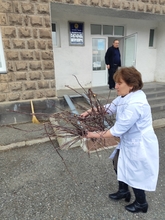 Շաբաթօրյակը Շիրակի մարզի առողջապահական հաստատություններում