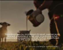 Կառավարությունը տավարաբուծության աջակցության ծրագրի շրջանակում կաթի գնի սուբսիդավորման նպատակով յուրաքանչյուր կովի համար կտրամադրի 15 000 դրամ աջակցություն