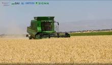 John Deere բարձրարդյունավետ կոմբայնով բերքահավաքի ծառայություններ՝ Շիրակի մարզի Ազատան և հարակից համայնքներում